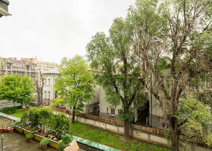 Charming Studio - City Center